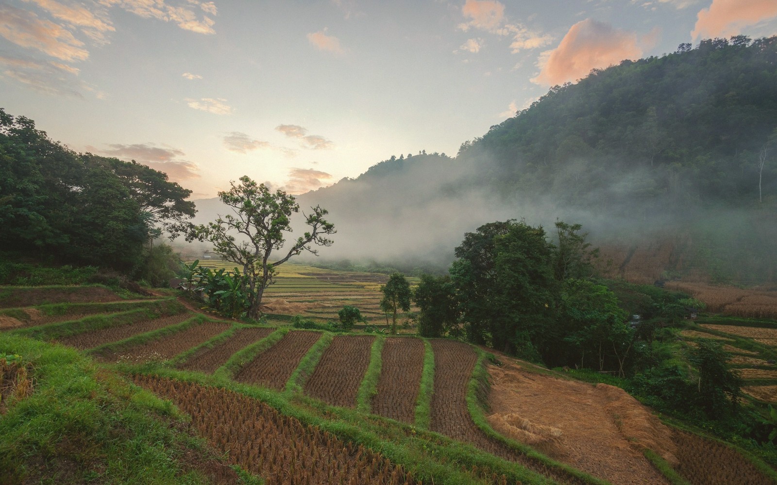 Wide Asian landscape at dawn with mountains and terraces